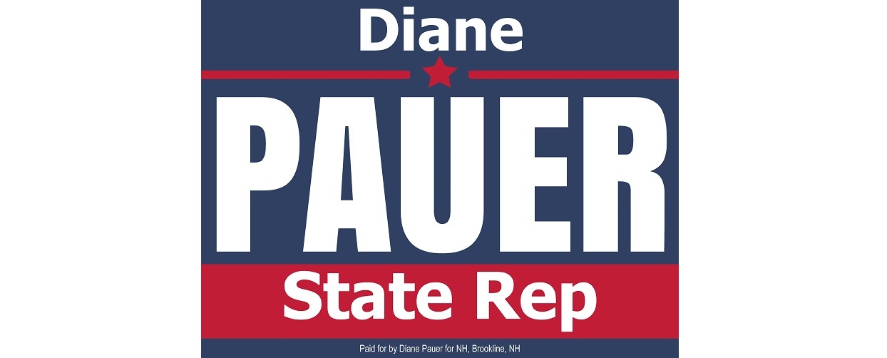 Diane Pauer for
                  State Rep